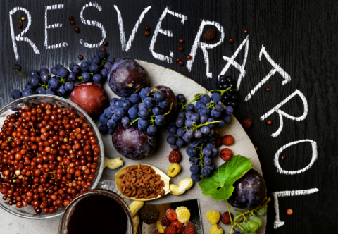 11. Resveratrol